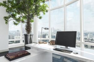 The Future of Workspaces: Top Office Design Trends for 2025